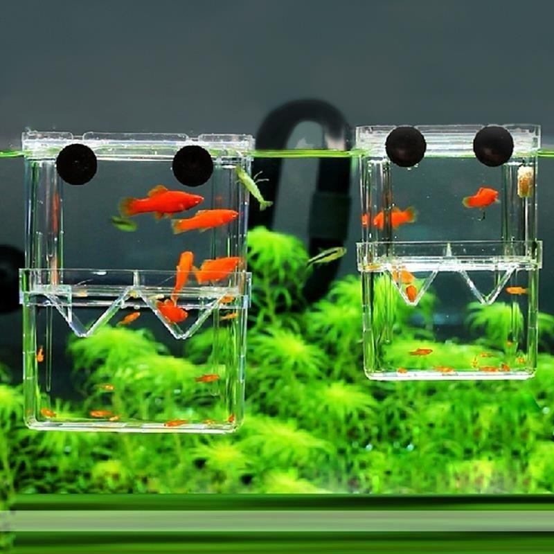 Aquarium Fish Cave - Multifunctional Fish Aquarium High Clear Fish