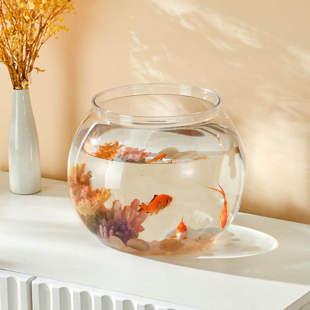 Home Decor Clear Transparent R - Aquarium Fish Names recension och pris