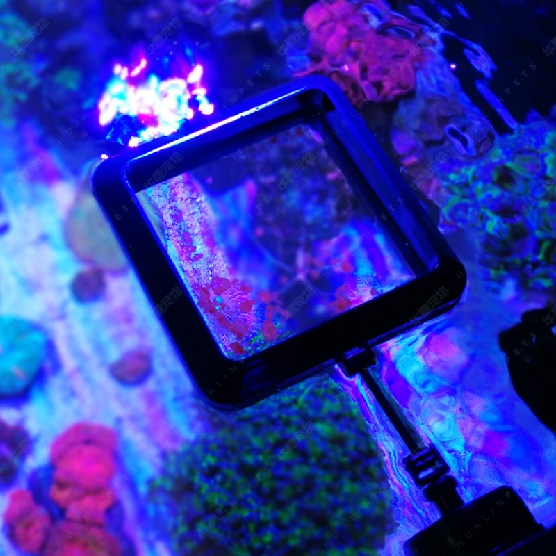 VASTOCEAN Magnetic Feeding Rin - Aquarium Fish Food recension och pris