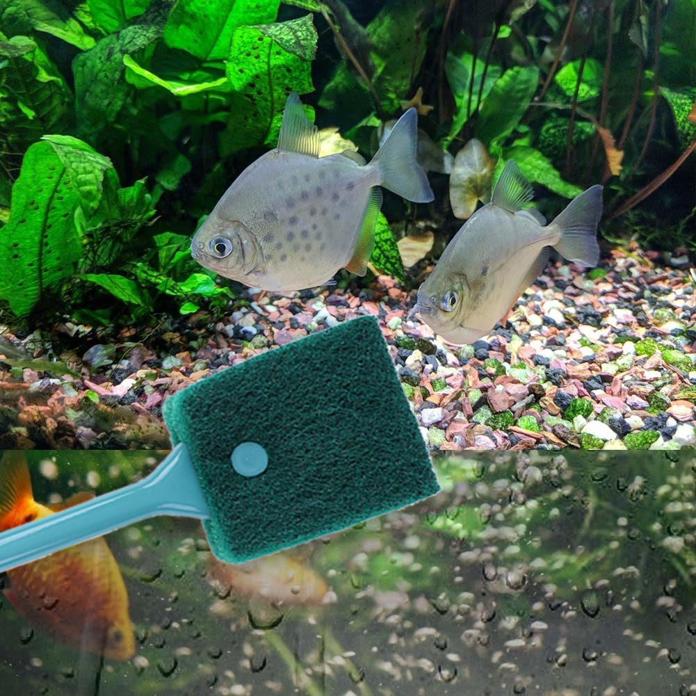 Double-sided Fish Tank Sponge  - Aquarium Fish Tank Cleaner recension och pris