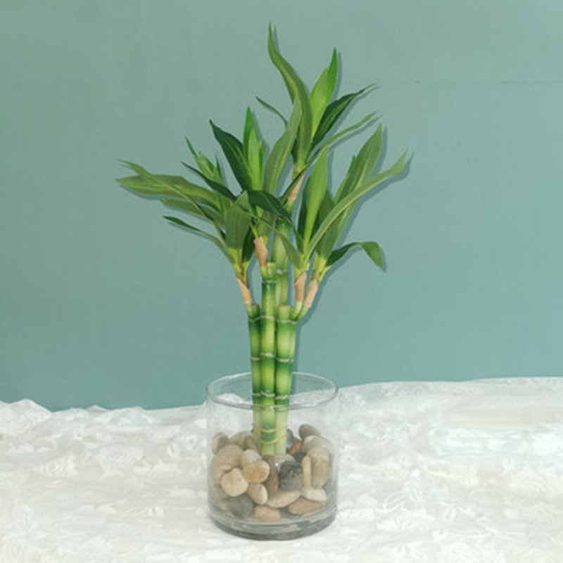 New 40cm Artificial Lucky Bamb - Aquarium Fish Names recension och pris
