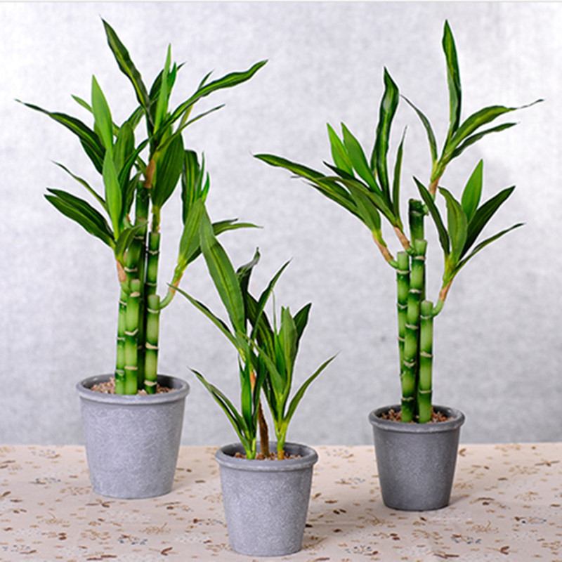 New 40cm Artificial Lucky Bamb - Aquarium Fish Names recension och pris