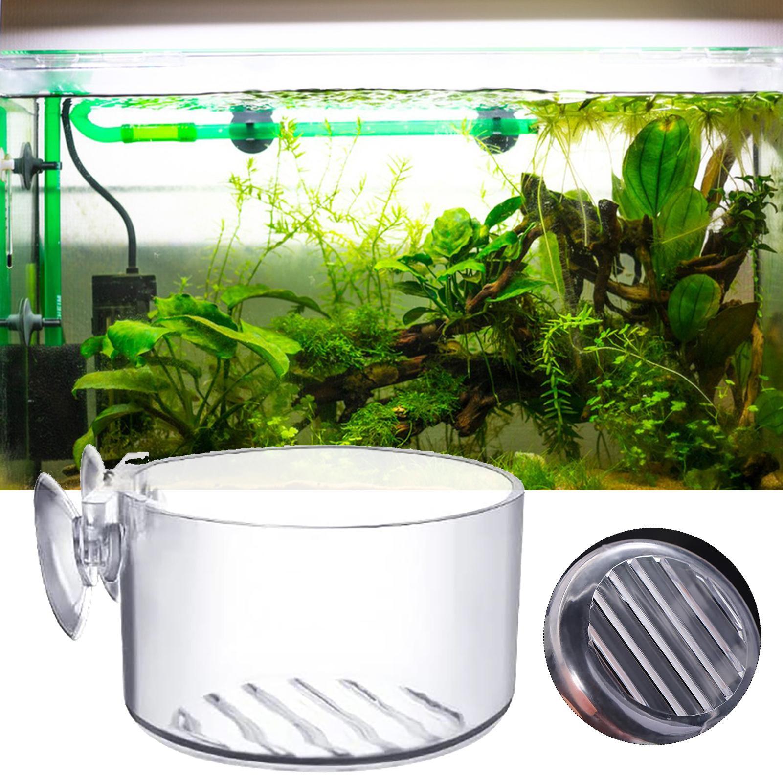 Aquarium Decoration Plant Cup  - Aquarium Fish Beautiful recension och pris