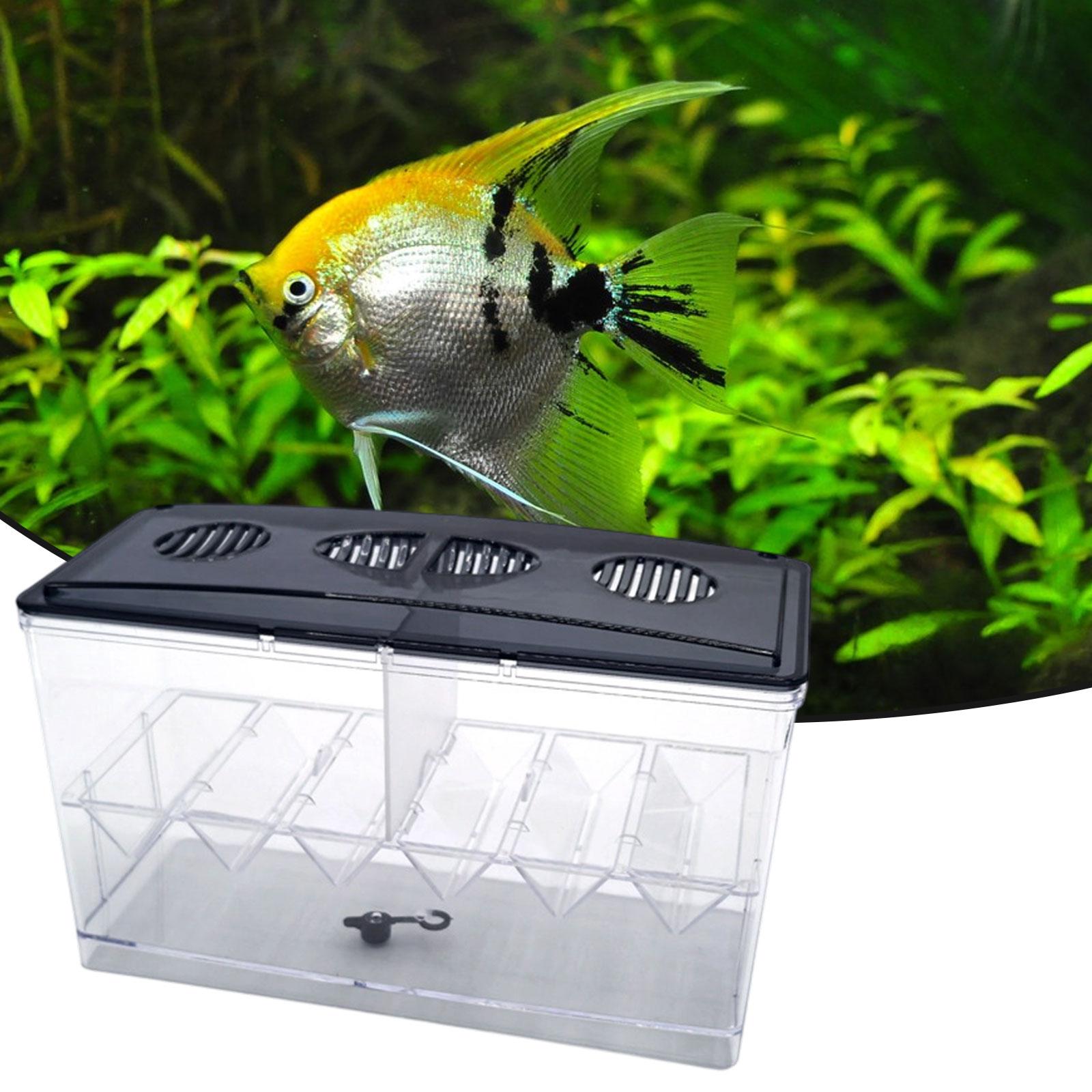 Floating Fish Breeding Isolati - Aquarium Fish Tank Cleaner recension och pris