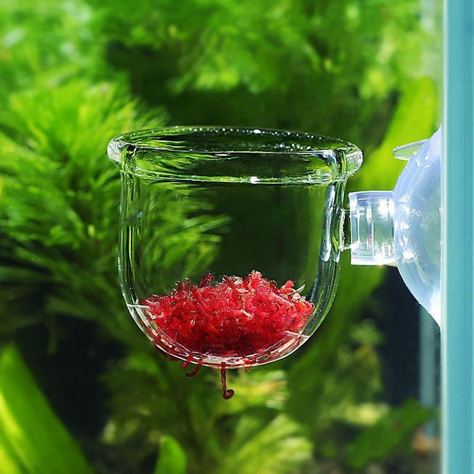 Plant Holder for Fish Tank Cle - Aquarium Fish Beautiful recension och pris