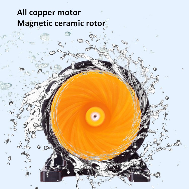 Custom Factory Wholesale Price - Aquarium Fish High Price recension och pris