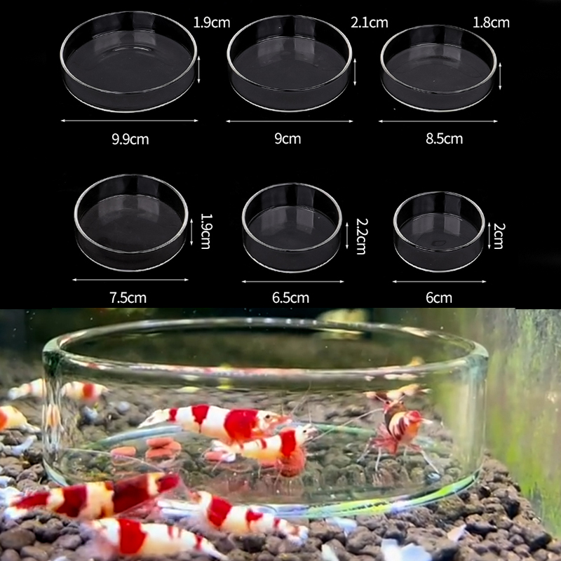 Shrimp Feeding Dish High Trans - Aquarium Fish Food recension och pris