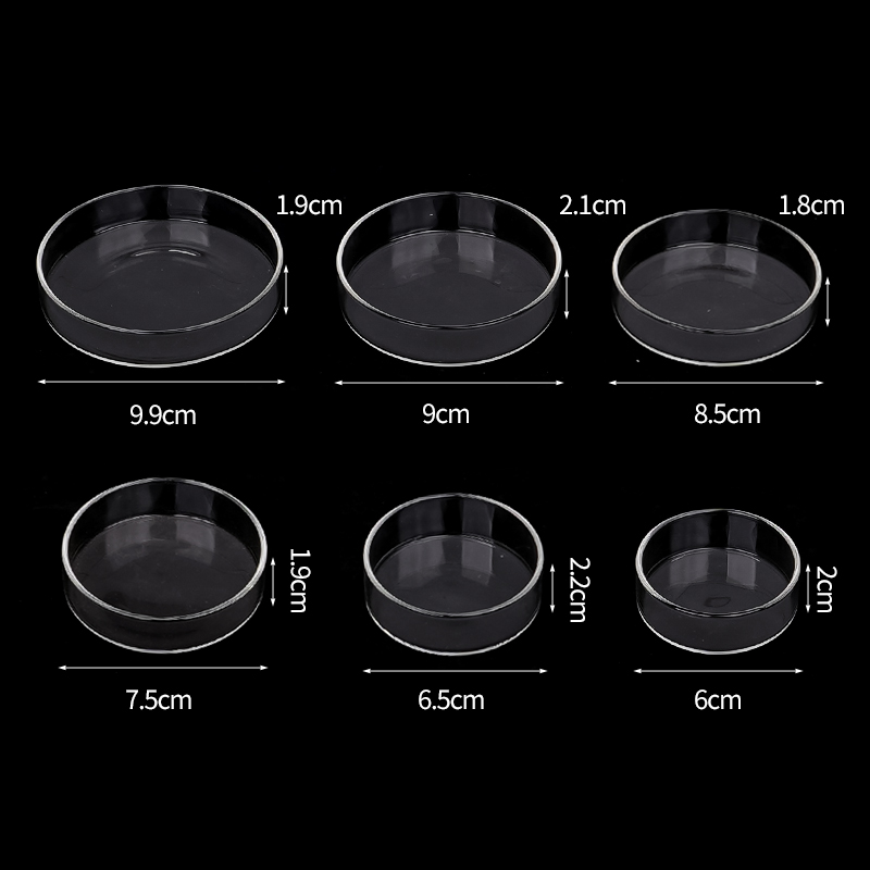 Shrimp Feeding Dish High Trans - Aquarium Fish Food recension och pris