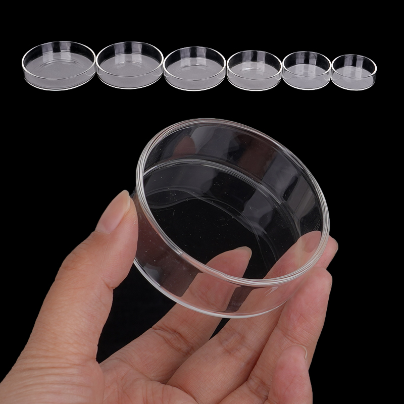 Shrimp Feeding Dish High Trans - Aquarium Fish Food recension och pris