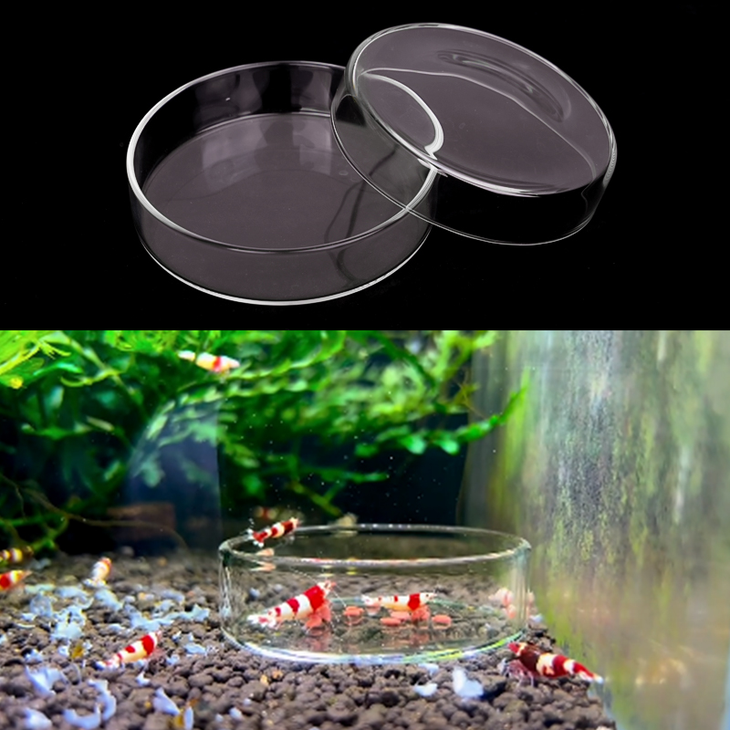 Shrimp Feeding Dish High Trans - Aquarium Fish Food recension och pris