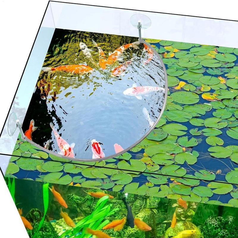 Floating Plant Corral Fish Fee - Aquarium Fish Food recension och pris