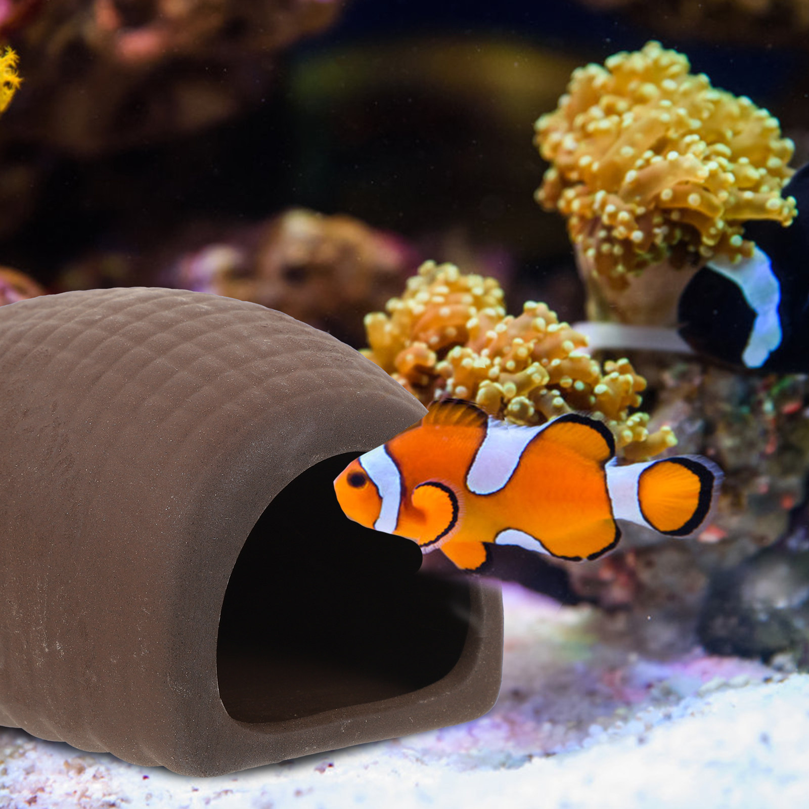 2Pcs Ceramic Aquarium Decor Fi - Aquarium Fish Hiding Spot recension och pris