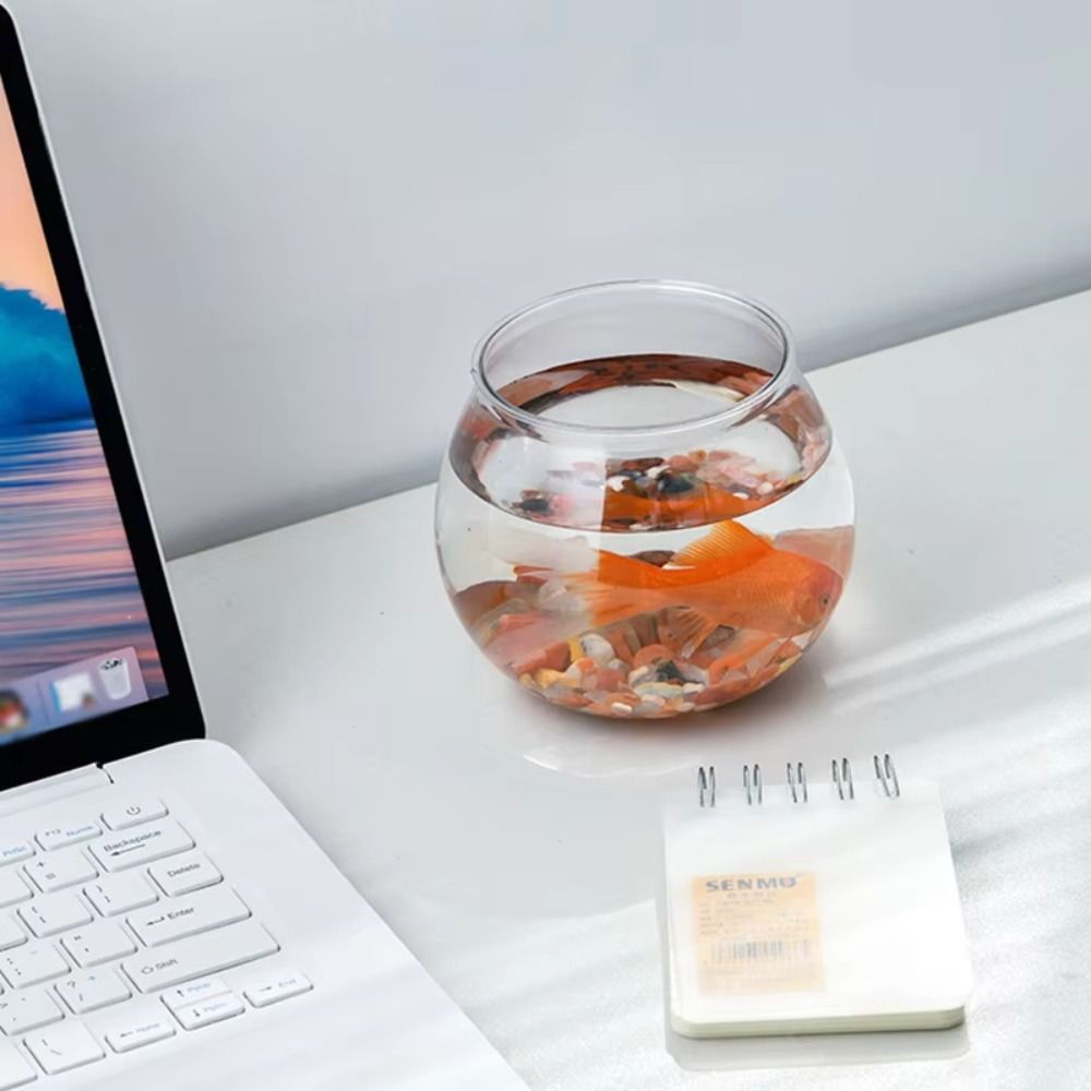 New Transparent Fish Tank Roun - Aquarium Fish Names recension och pris